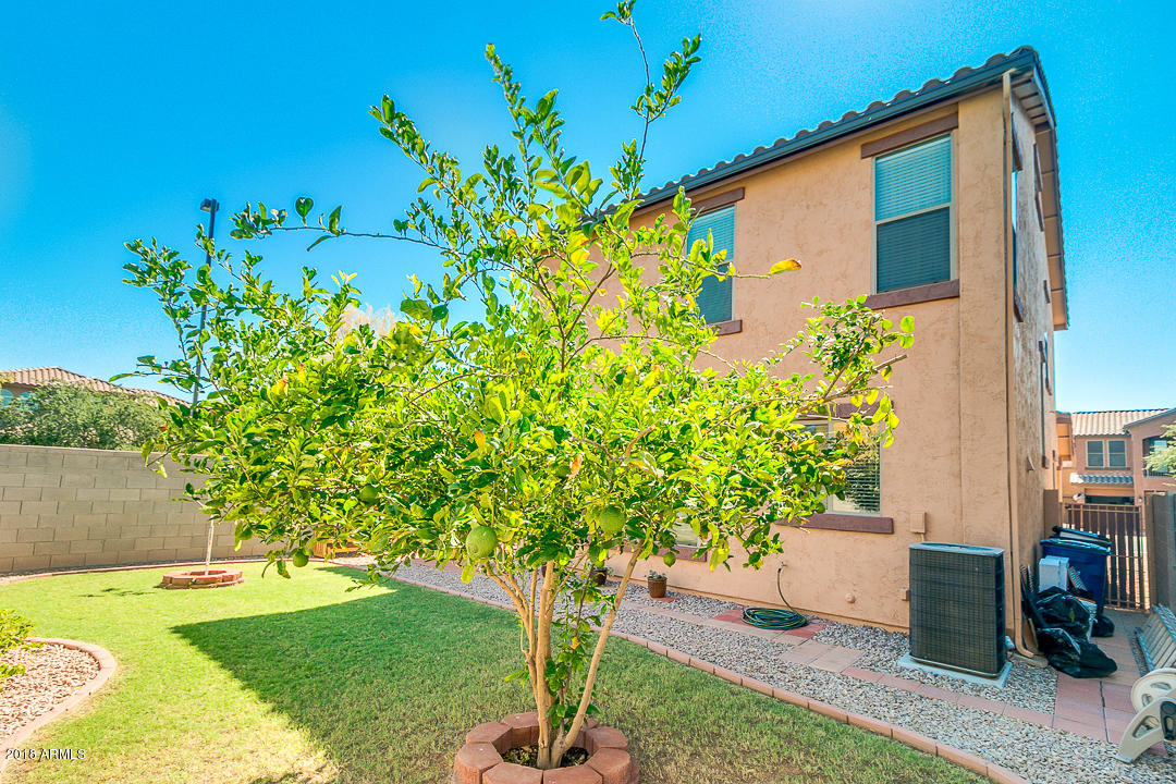 3954 East Morelos Street Gilbert, AZ 85295 - Photo 27 of 31 a backyard of a house with lots of green space