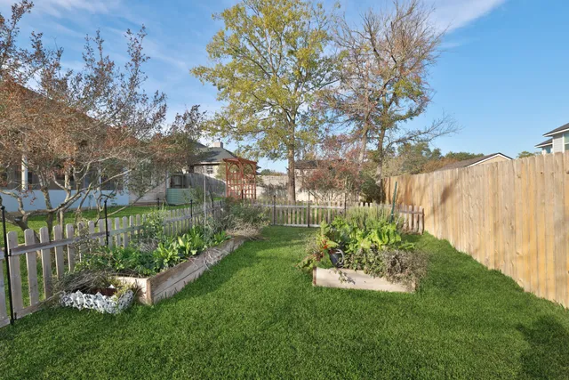 a view of a garden with a tree