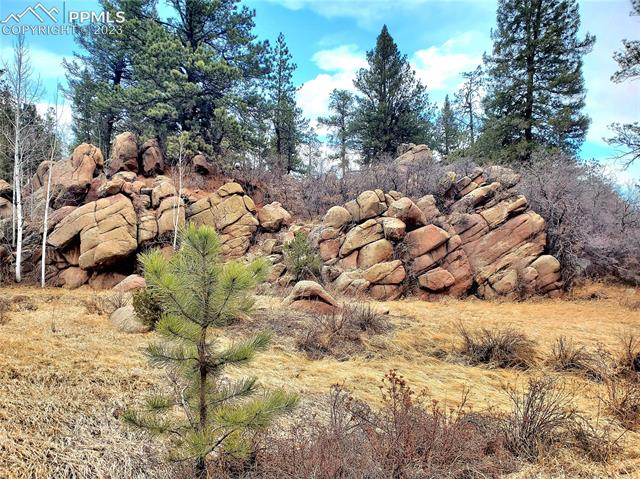 117 Apache Road Florissant, CO 80816 - Photo 8 of 15
