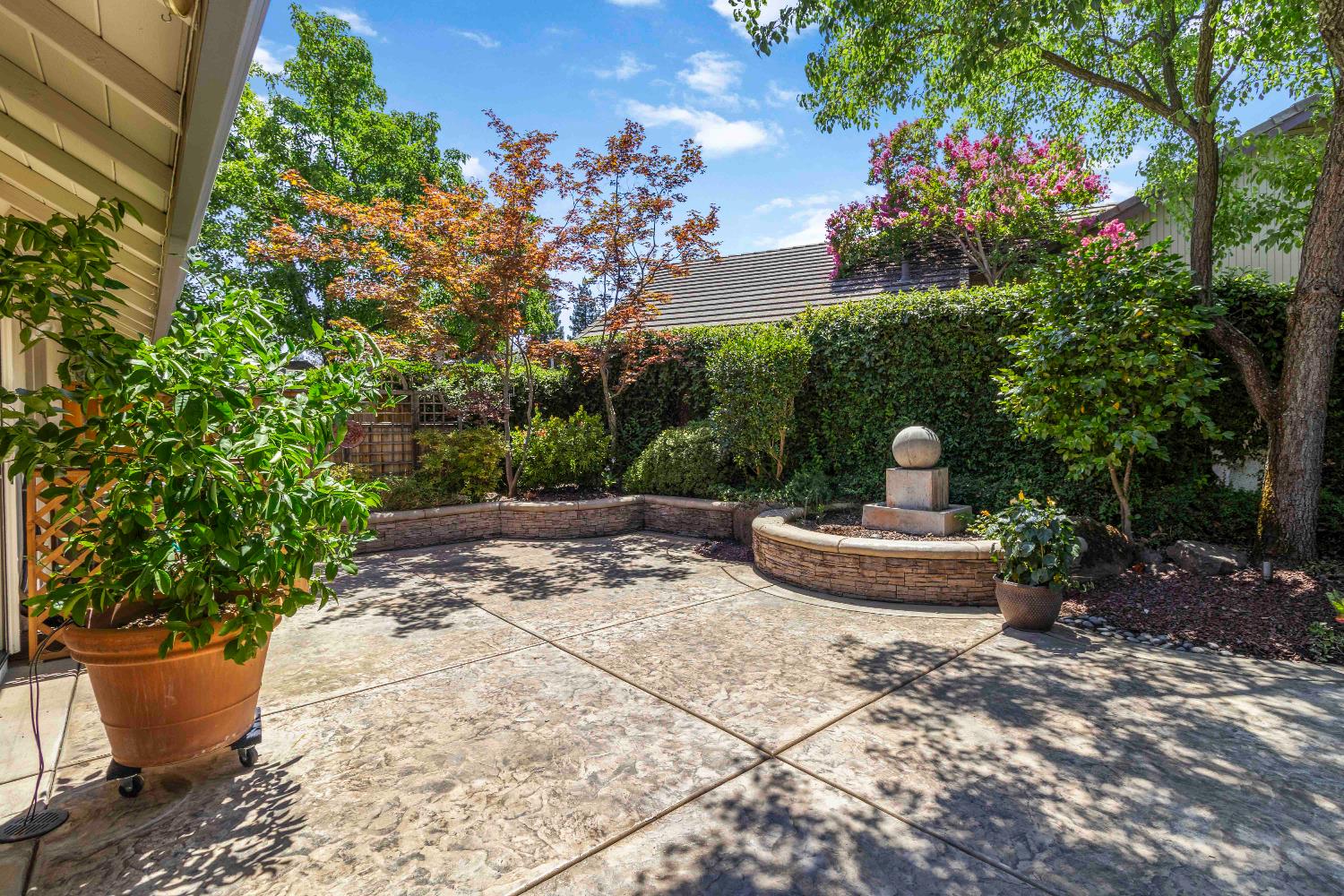 1311 Aberdeen Circle Granite Bay, CA 95746 - Photo 45 of 50 a view of a backyard with chair and potted plants