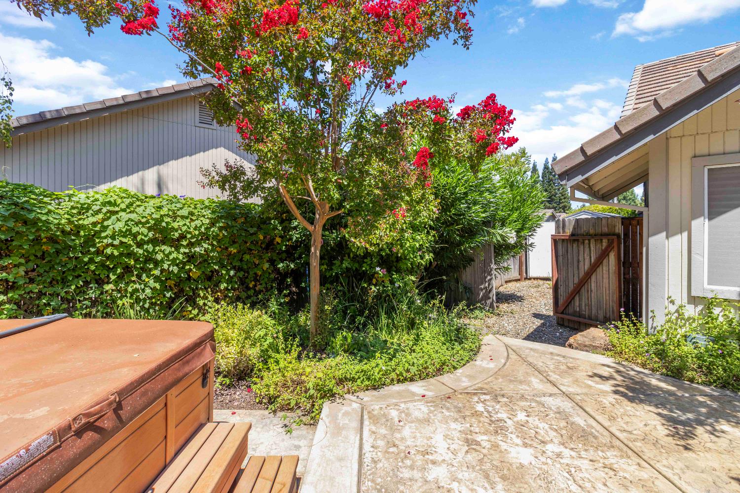 1311 Aberdeen Circle Granite Bay, CA 95746 - Photo 48 of 50 a view of a backyard with potted plants