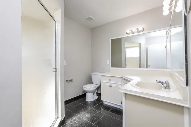 a bathroom with a sink toilet vanity and granite