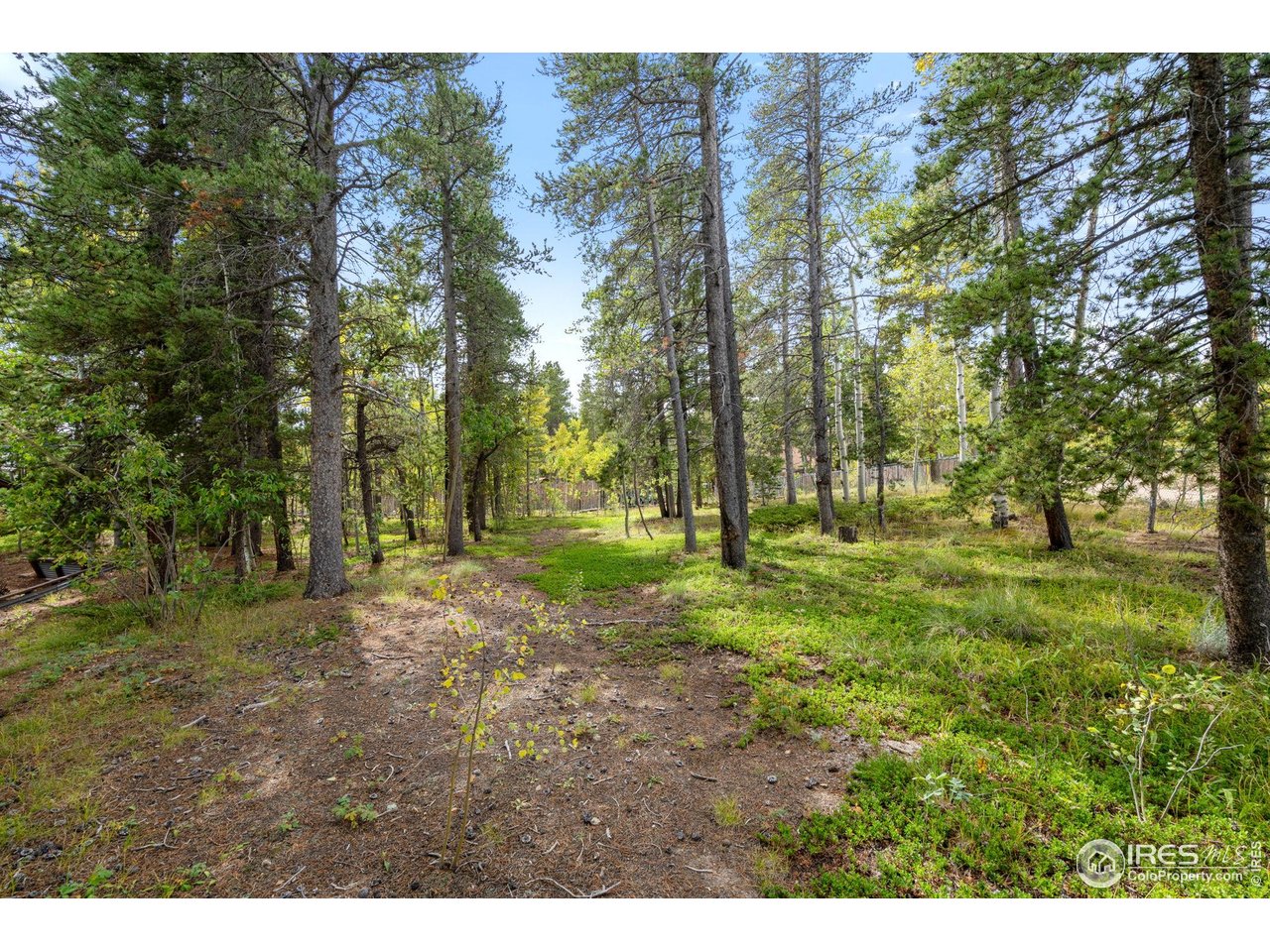 83 Iris Road Black Hawk, CO 80422 - Photo 27 of 32 Usable acreage