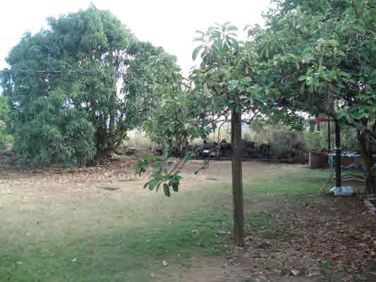3327 A Puni Road Koloa, HI 96756 - Photo 3 of 6 a view of a park