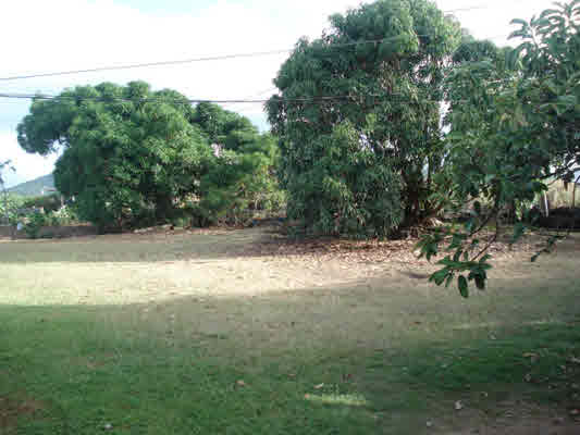 3327 A Puni Road Koloa, HI 96756 - Photo 4 of 6 a view of a yard with a tree
