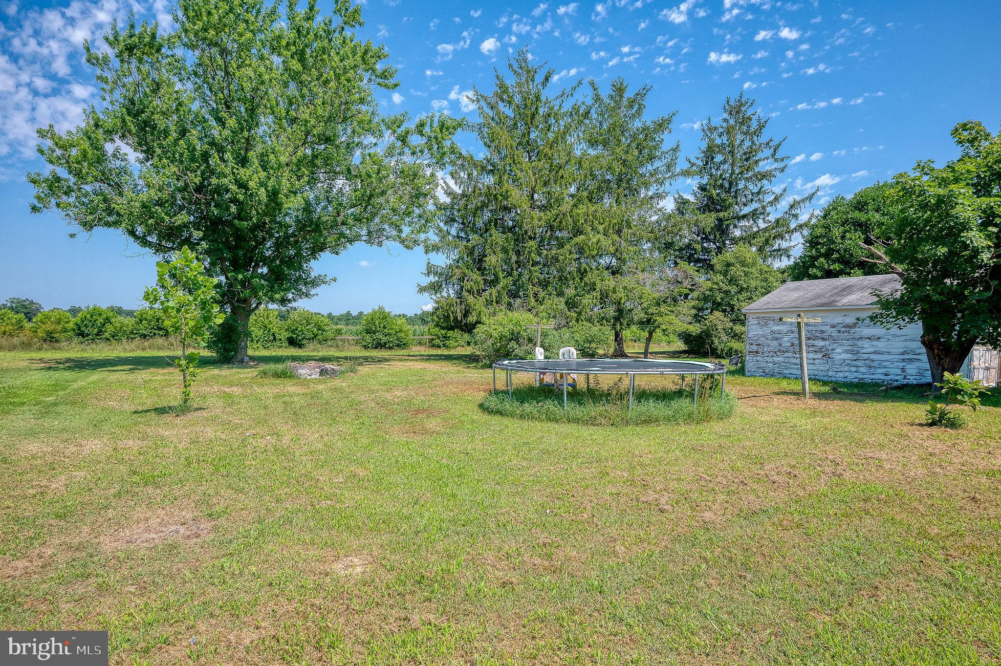 3530 Houston Branch Road Federalsburg, MD 21632 - Photo 19 of 19