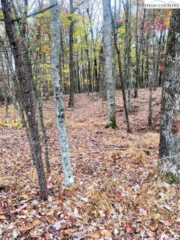 $327,500 | 169 Woodside Road, Galax, VA 24333