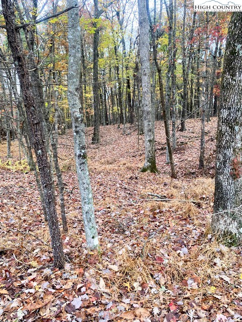 169 Woodside Road Galax, VA 24333 - Photo 41 of 49 a view of a yard with trees
