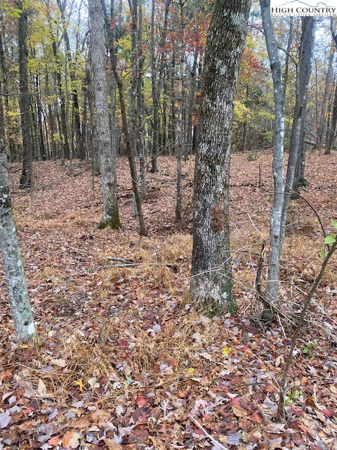 169 Woodside Road Galax, VA 24333 - Photo 42 of 49 a view of a forest with trees in the background