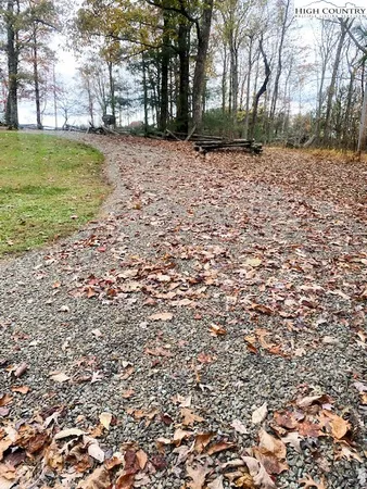 a backyard of a house with trees all around