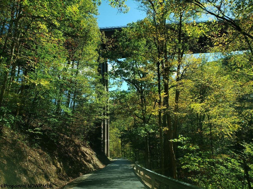 100 Steve Rosier Road Parsons, WV 26287 - Photo 13 of 21 Gallery Image 13