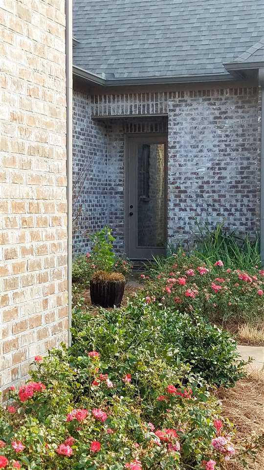 110 Novara Circle Madison, MS 39110 - Photo 3 of 46 Photo 3