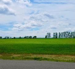 5-xxx West Lake Burgen Road Southeast Alexandria, MN 56308 - Photo 4 of 8