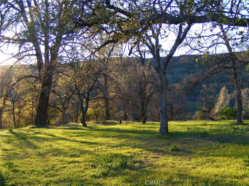 1985 Flatiron Road Chico, CA 95928 - Photo 57 of 67