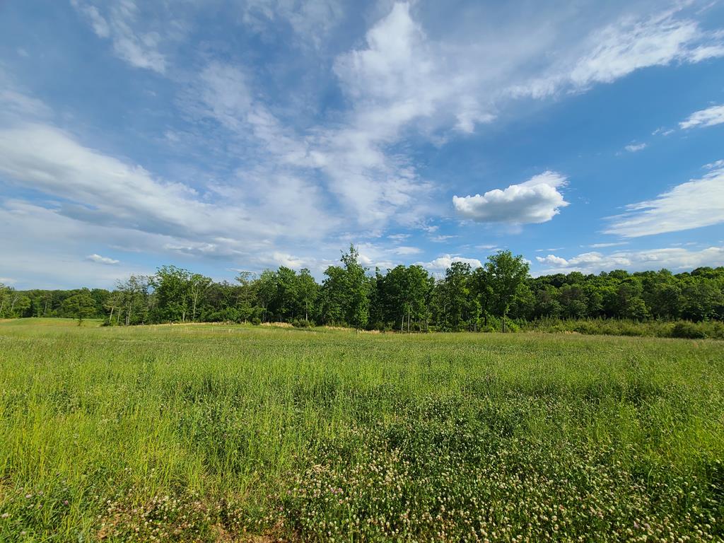 White Tail Road Concord, VA 24538 - Photo 17 of 17 Gallery Image 17