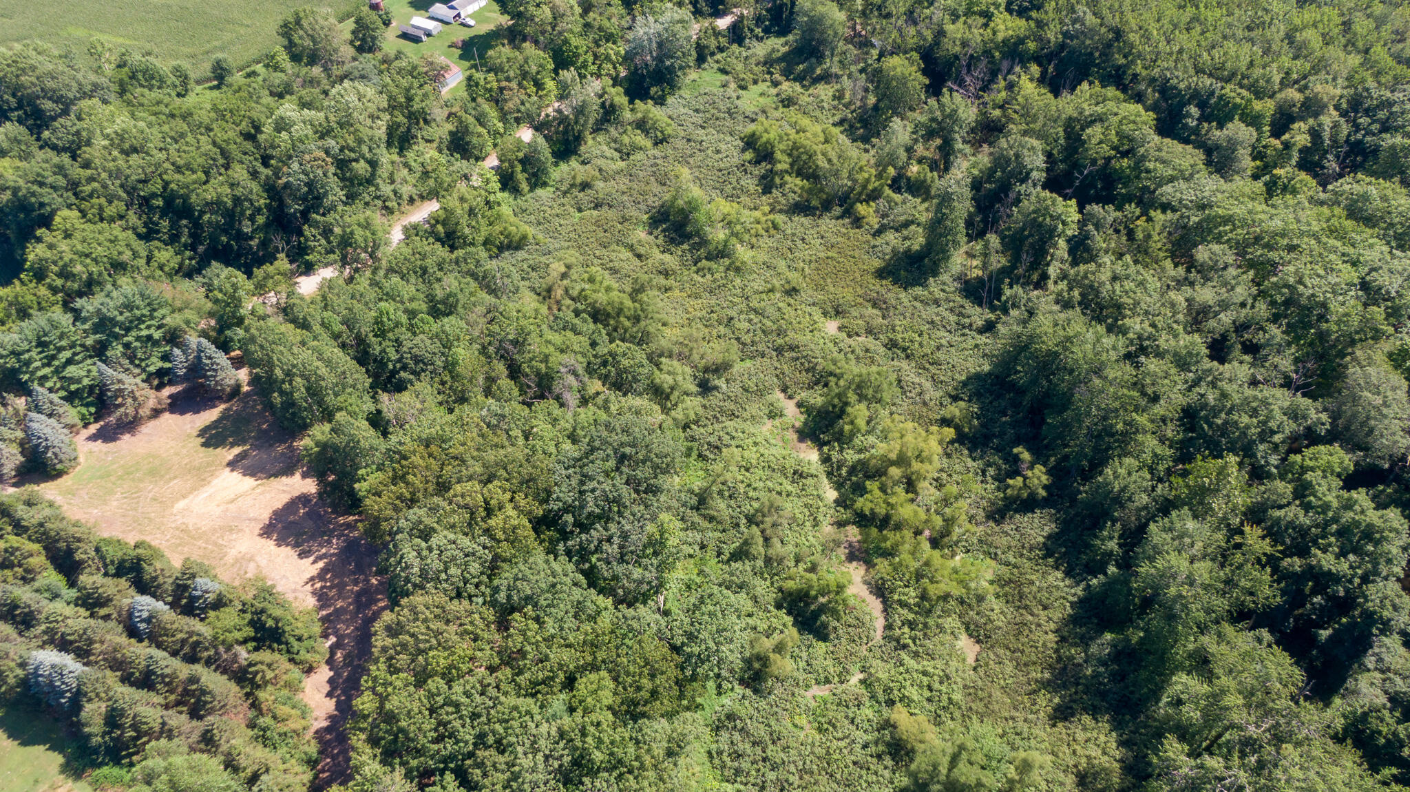 16800 Riverside Dr Union Union Pier, MI 49129 - Photo 18 of 40 16800 RIVERSIDE DR