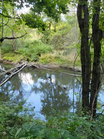 $545,000 | 16800 Riverside Dr Union, Union Pier, MI 49129