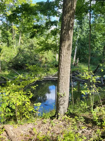 $545,000 | 16800 Riverside Dr Union, Union Pier, MI 49129