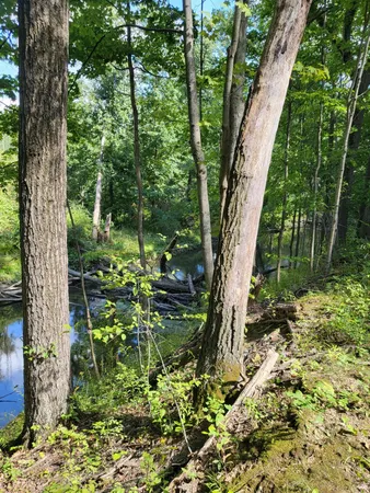 $545,000 | 16800 Riverside Dr Union, Union Pier, MI 49129