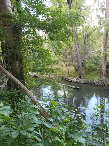 $545,000 | 16800 Riverside Dr Union, Union Pier, MI 49129