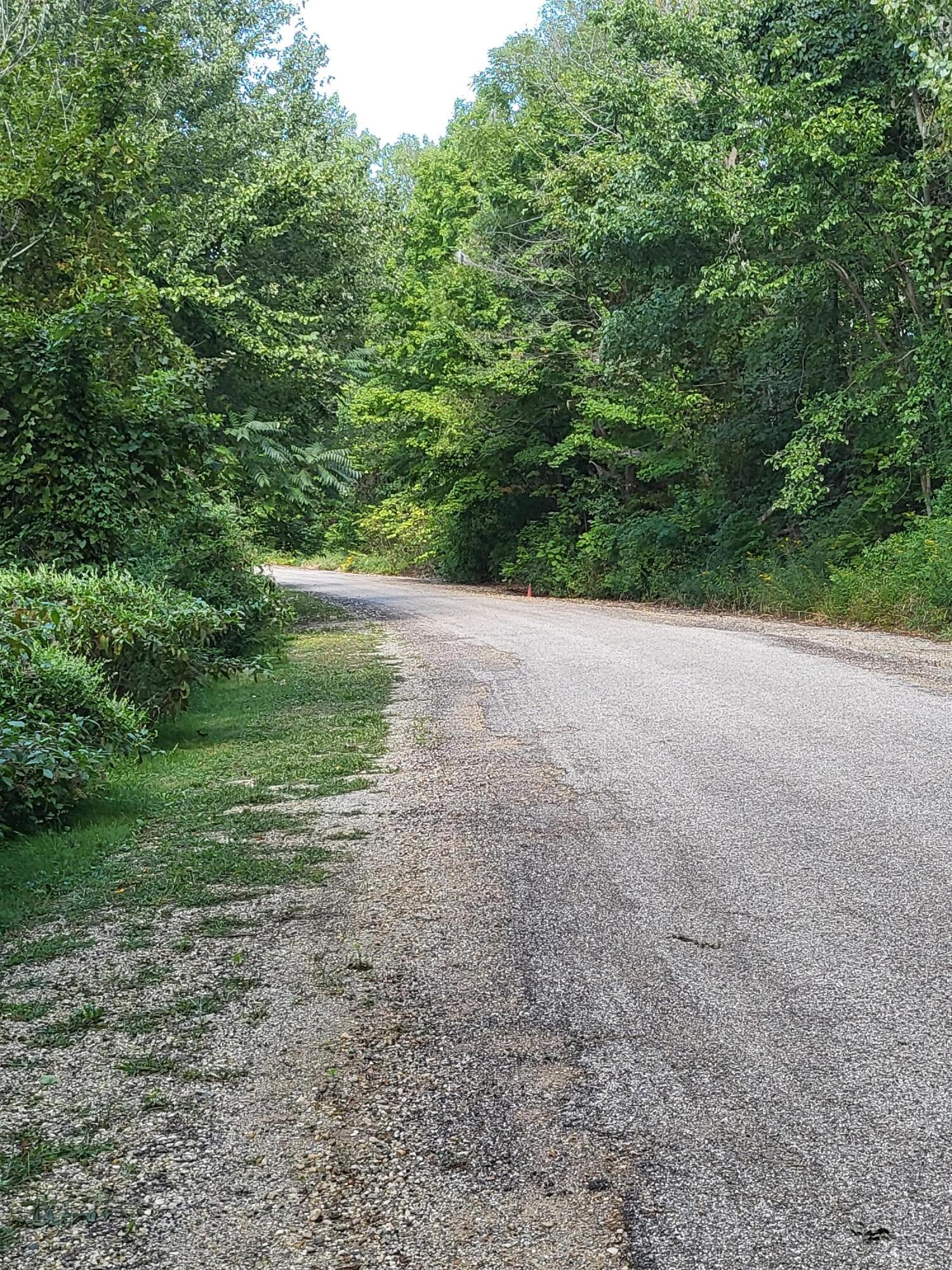16800 Riverside Dr Union Union Pier, MI 49129 - Photo 32 of 40 16800 RIVERSIDE DR