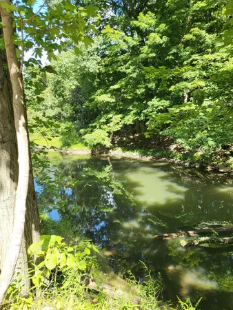 $545,000 | 16800 Riverside Dr Union, Union Pier, MI 49129