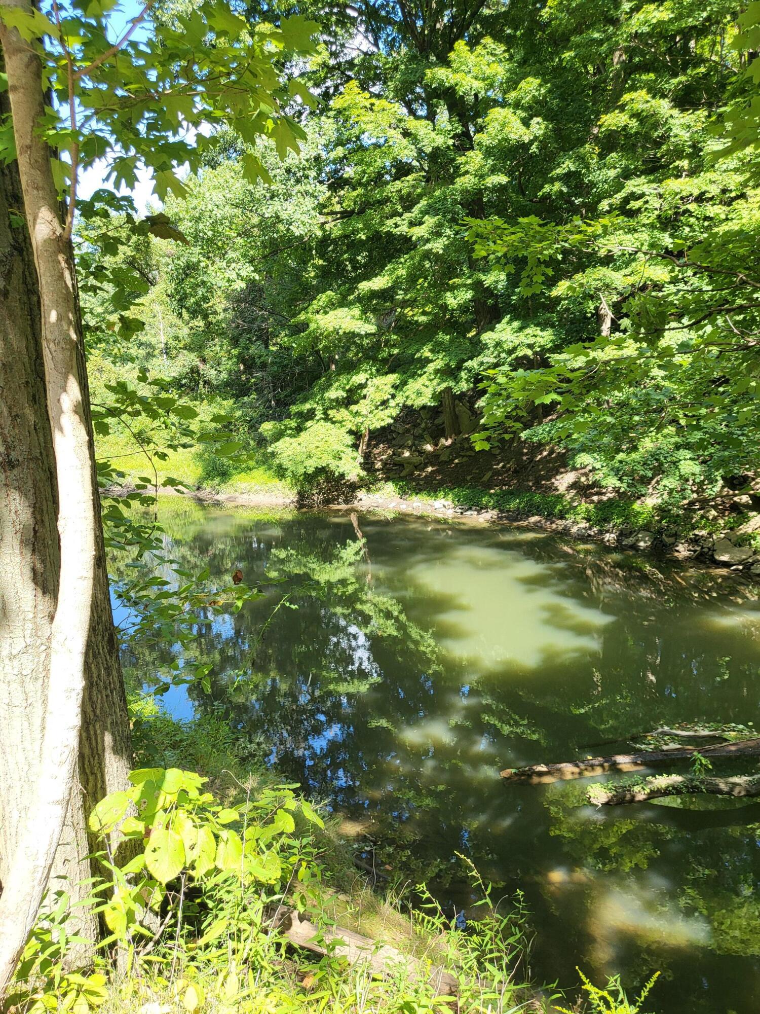 16800 Riverside Dr Union Union Pier, MI 49129 - Photo 35 of 40 16800 RIVERSIDE DR