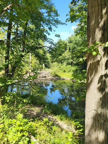 $545,000 | 16800 Riverside Dr Union, Union Pier, MI 49129