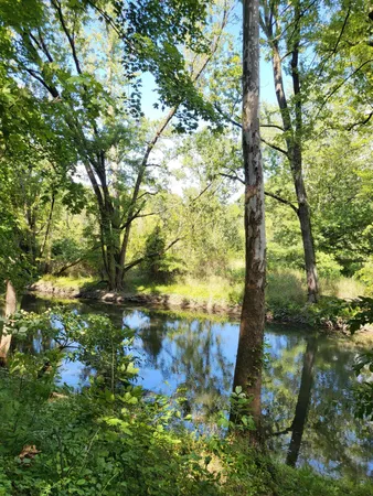 $545,000 | 16800 Riverside Dr Union, Union Pier, MI 49129