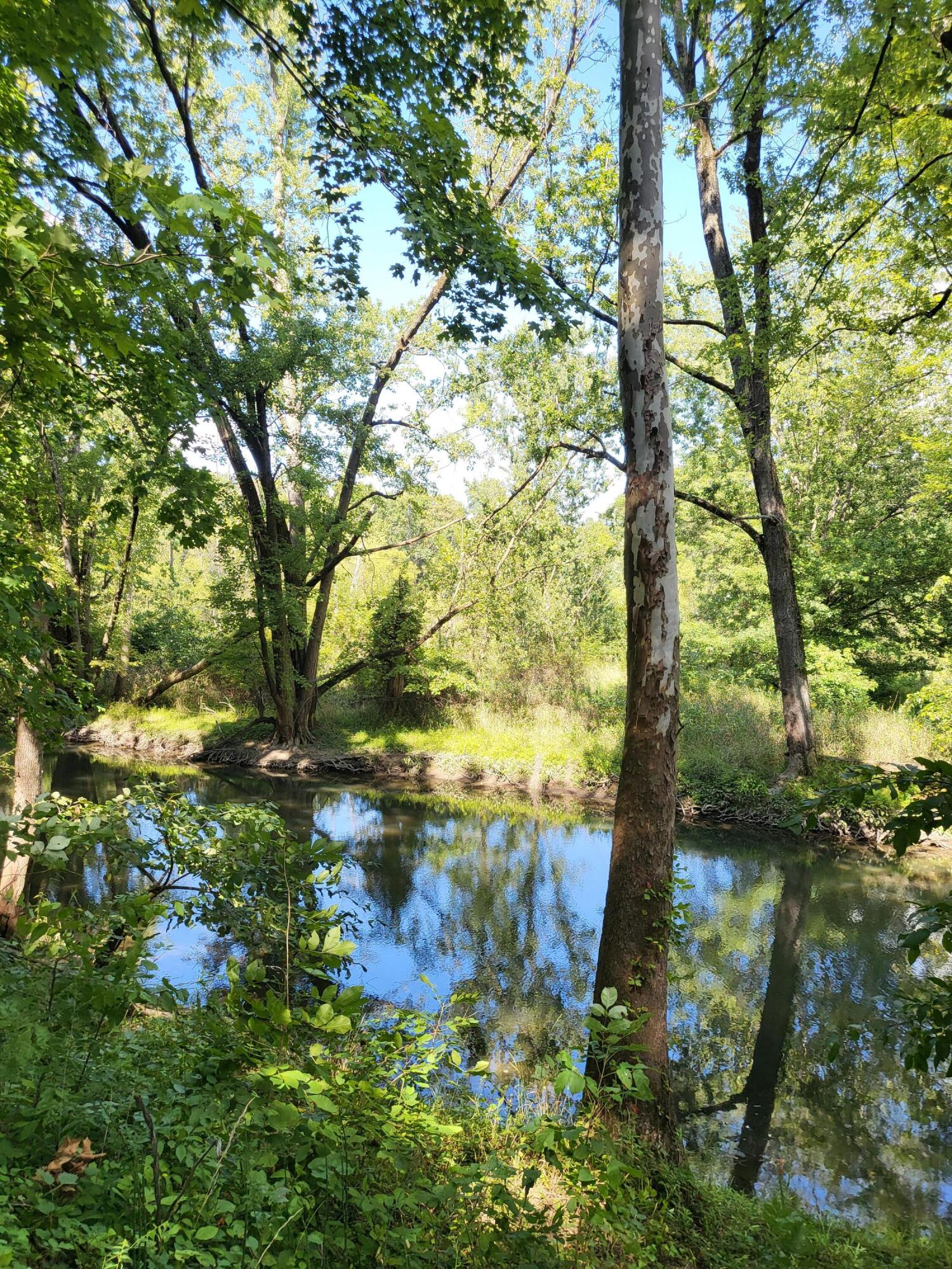 16800 Riverside Dr Union Union Pier, MI 49129 - Photo 38 of 40 16800 RIVERSIDE DR