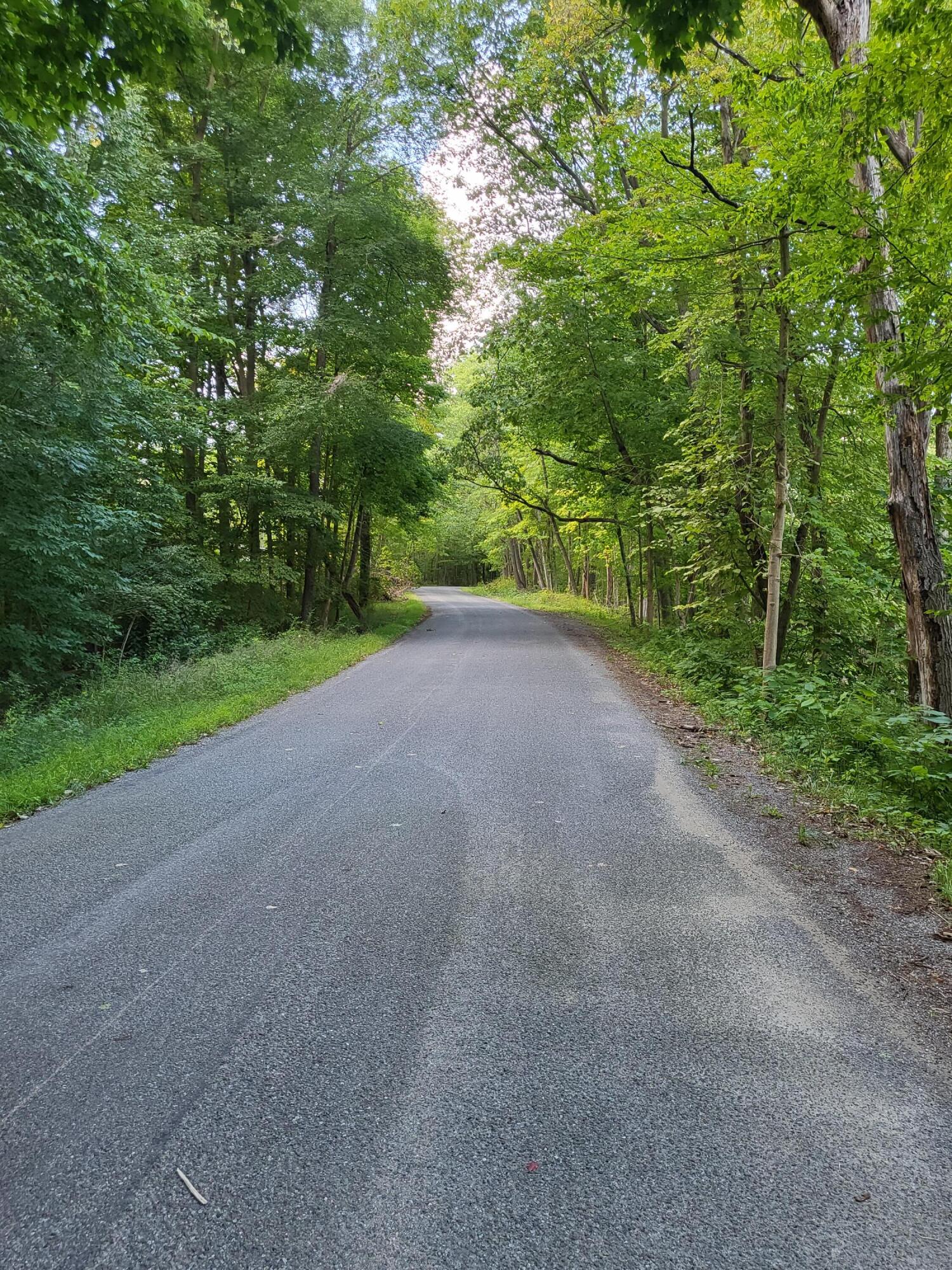 16800 Riverside Dr Union Union Pier, MI 49129 - Photo 40 of 40 16800 RIVERSIDE DR
