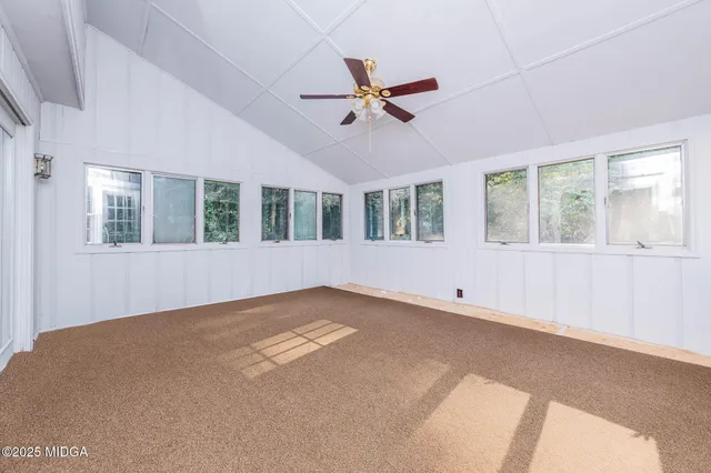 a view of a forest with trees in front of it
