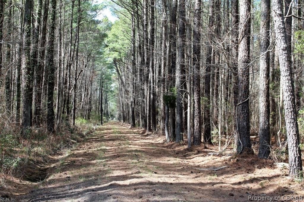 0 28 Lillys Neck Road Moon, VA 23119 - Photo 7 of 7