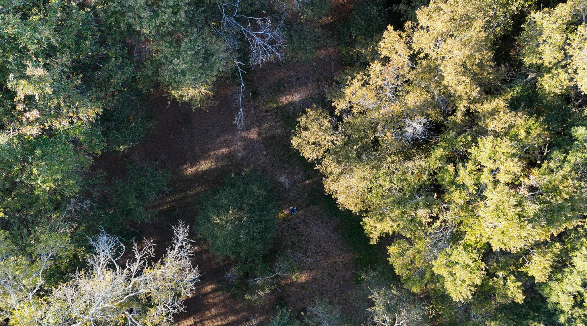 276 Squirrel Road DeFuniak Springs, FL 32433 - Photo 2 of 37 Over 2 acre parcel