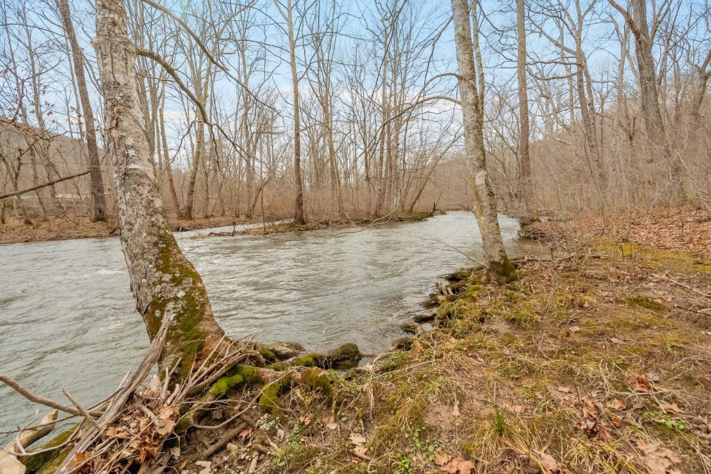 0 Grapefield Road Bastian, VA 24314 - Photo 37 of 63 Gallery Image 37
