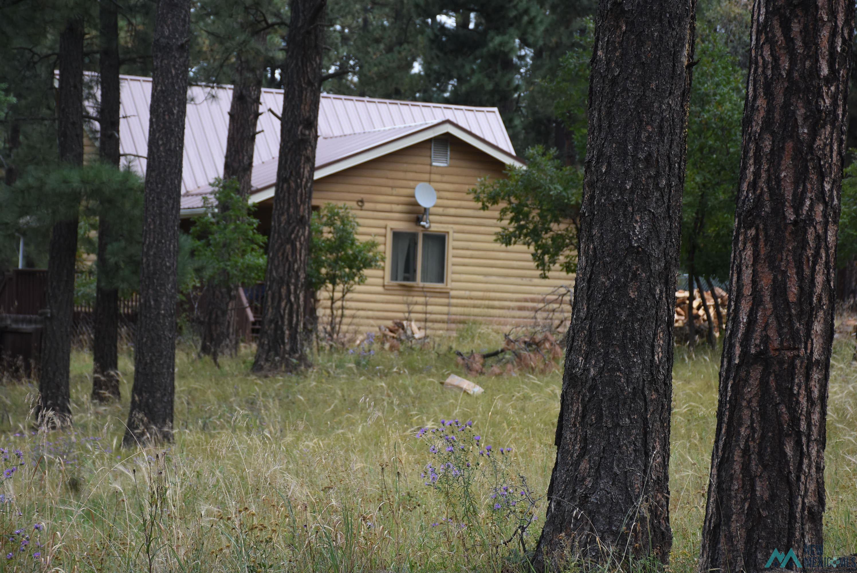 27 Golf Drive Rociada, NM 87742 - Photo 2 of 10 View of side of home featuring faux log siding and a metal roof