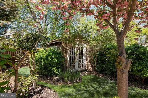 a view of a patio with chairs and a potted plant