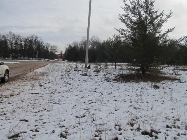 10953 North Forman Road Irons, MI 49644 - Photo 13 of 15 1826148-12.JPG