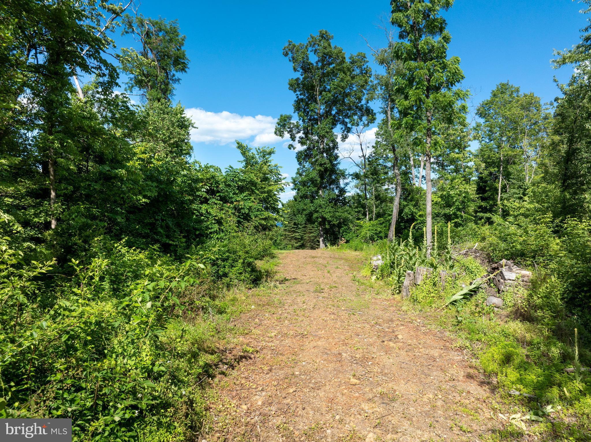 19 West Mountain Road McVeytown, PA 17051 - Photo 7 of 27