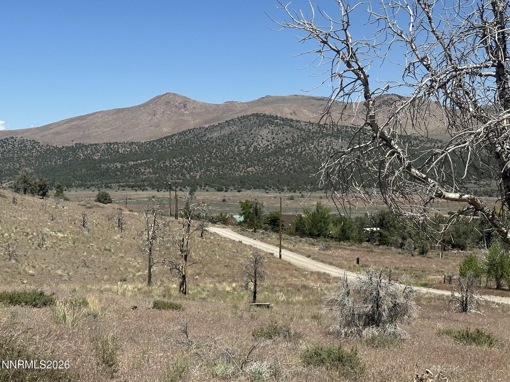 930 Cavelti Road Gardnerville, NV 89410 - Photo 5 of 19 IMG_3251