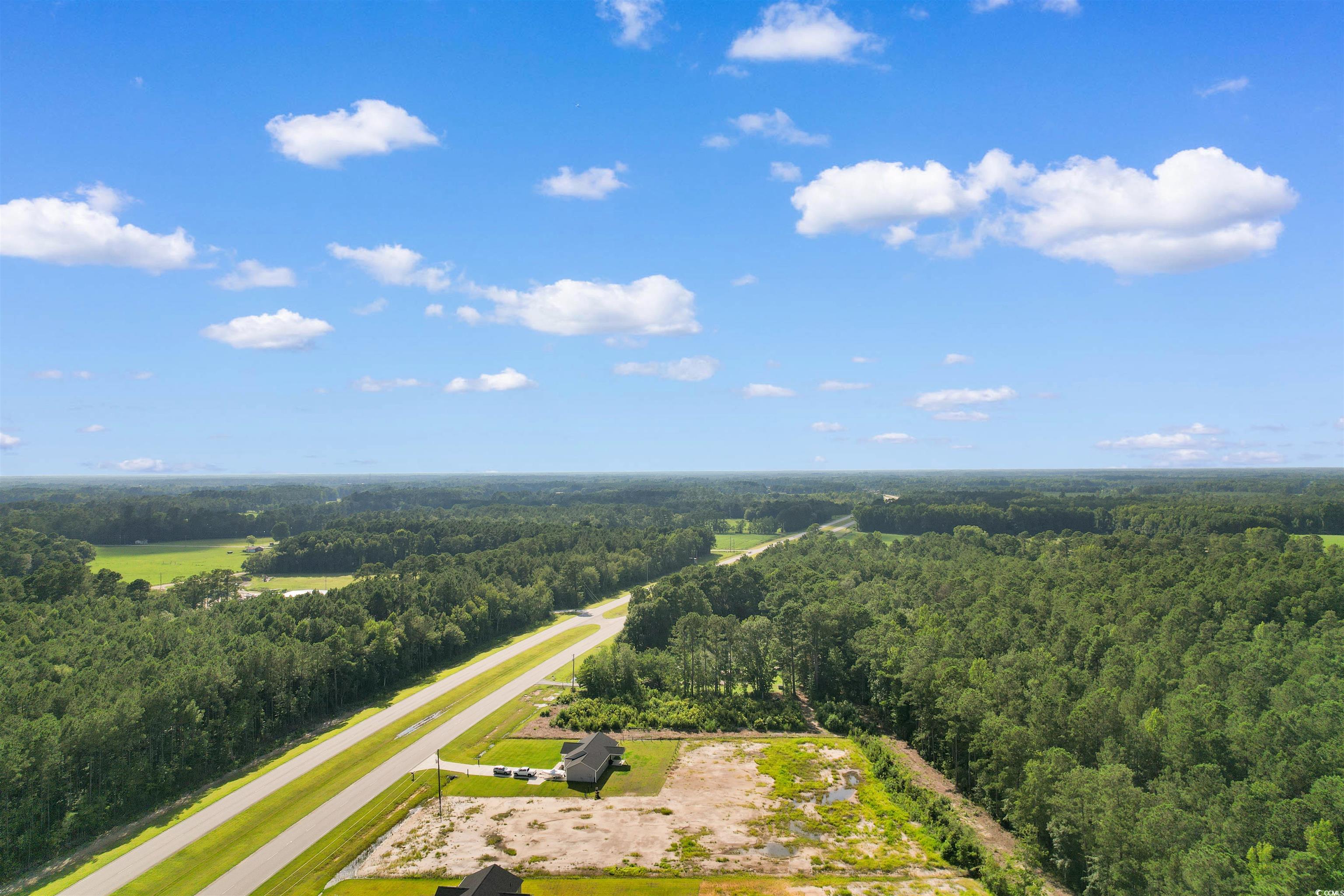 9 Loris Sc 29569 Loris, SC 29569 - Photo 12 of 20 Bird's eye view of a forest