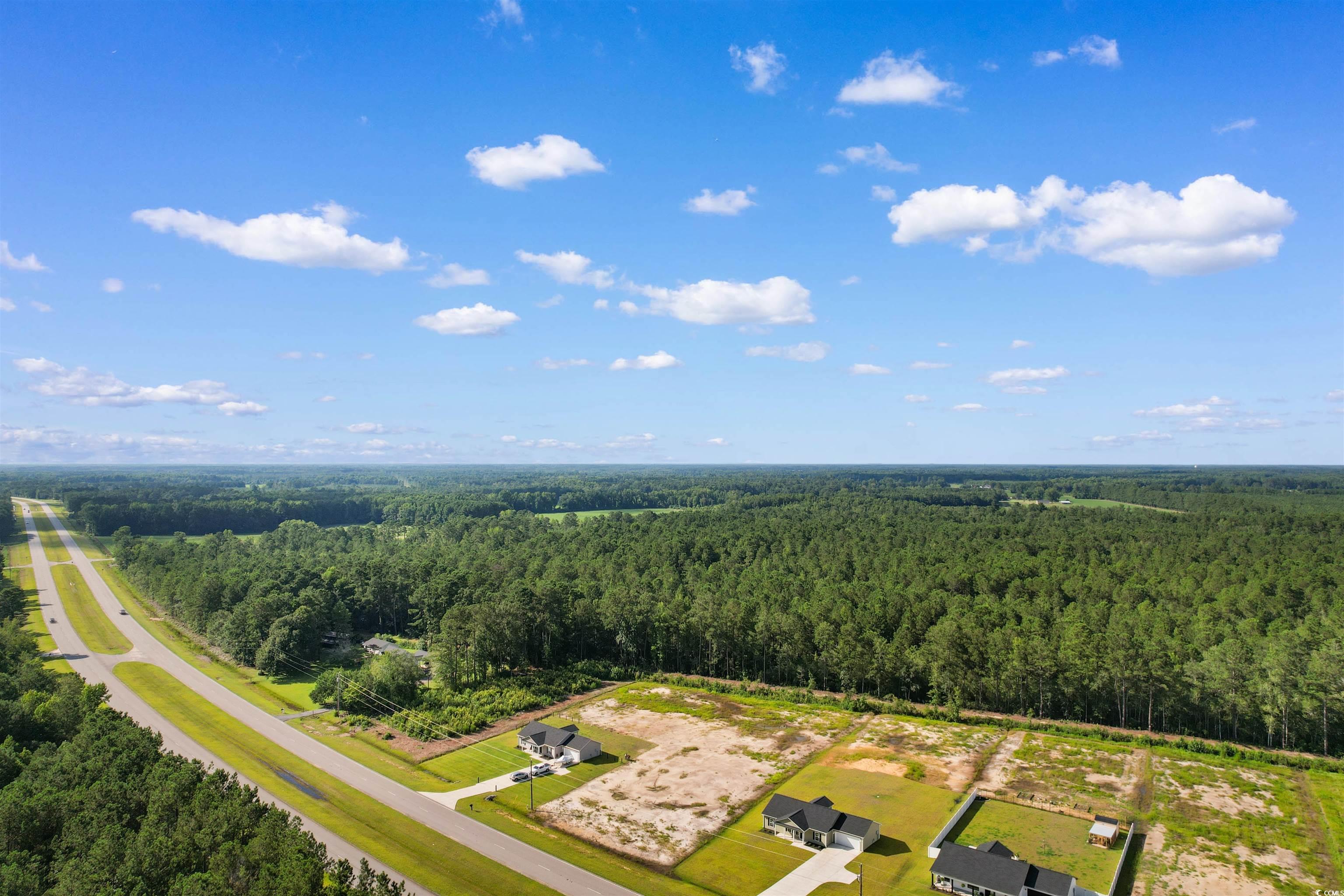 9 Loris Sc 29569 Loris, SC 29569 - Photo 14 of 20 Drone / aerial view of a forest