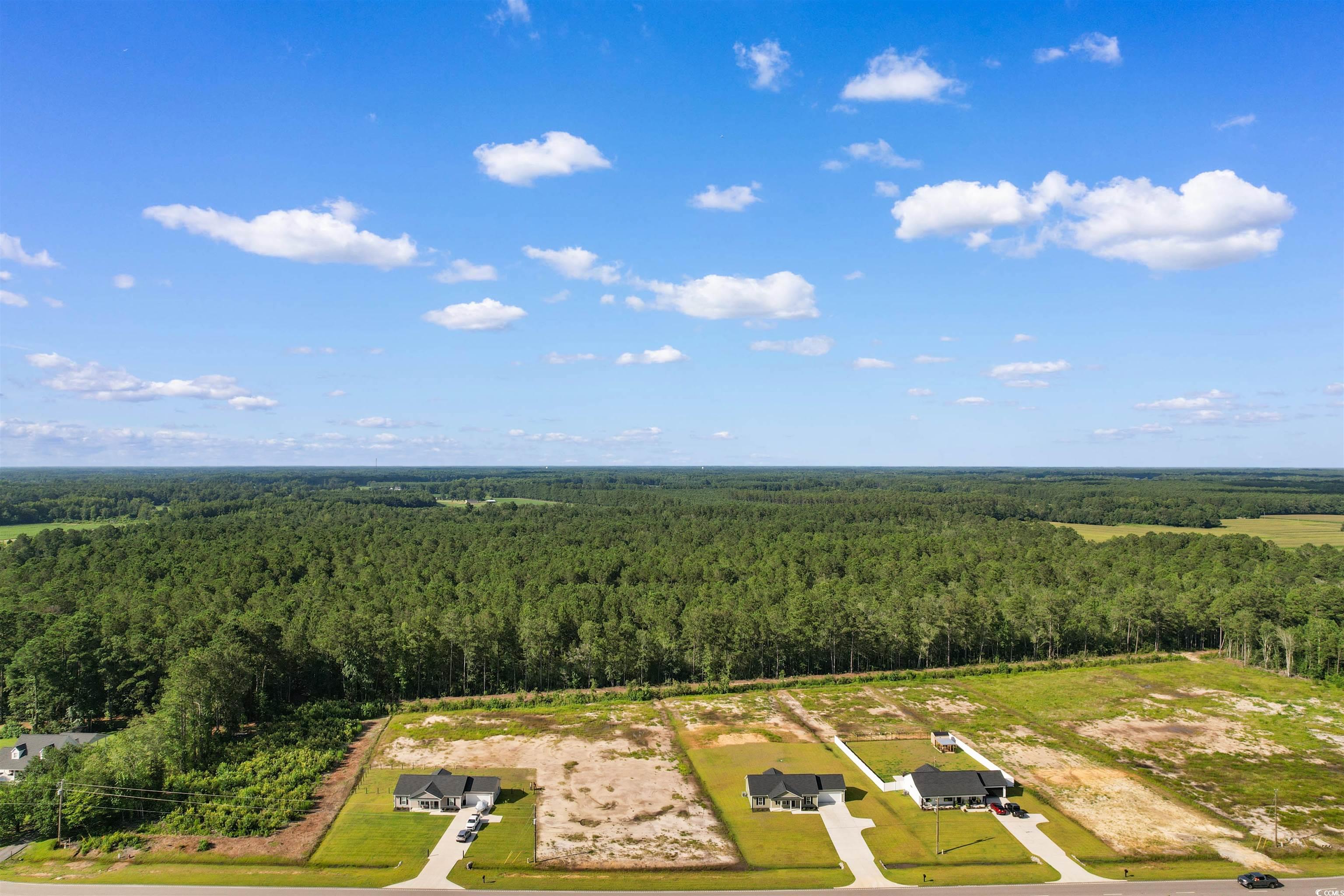 9 Loris Sc 29569 Loris, SC 29569 - Photo 16 of 20 Bird's eye view of a forest