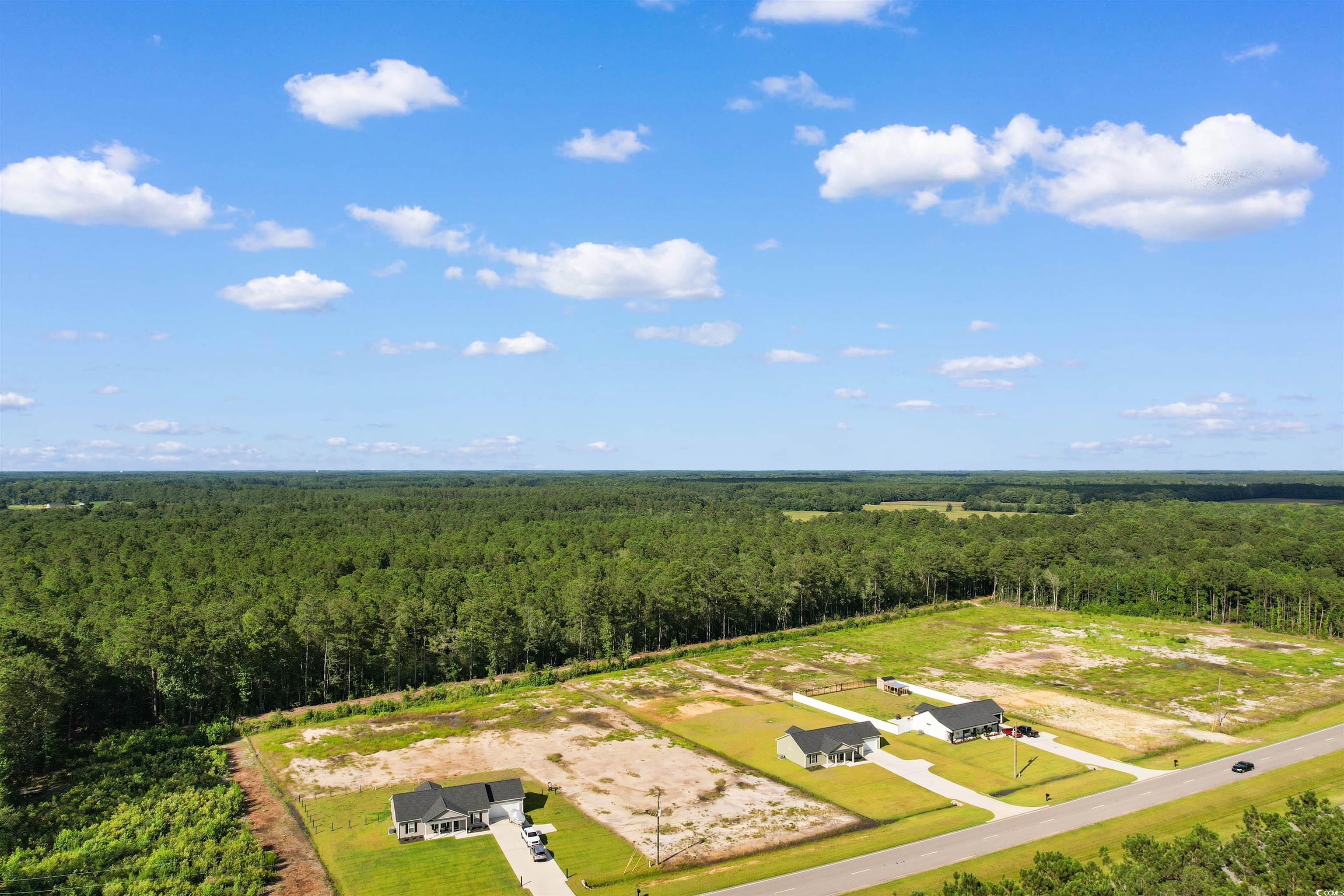 9 Loris Sc 29569 Loris, SC 29569 - Photo 2 of 20 Drone / aerial view of a forest