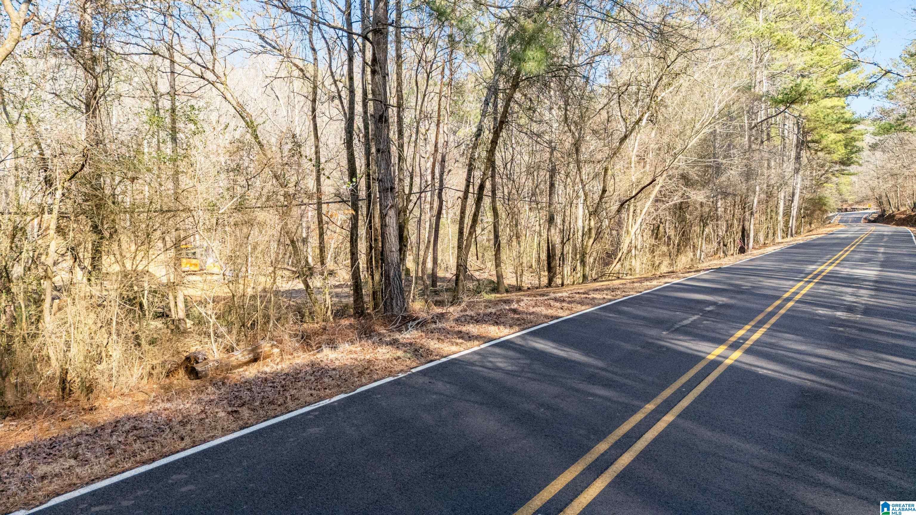7019 Groundhog Road, Unit 1 Morris, AL 35116 - Photo 22 of 22