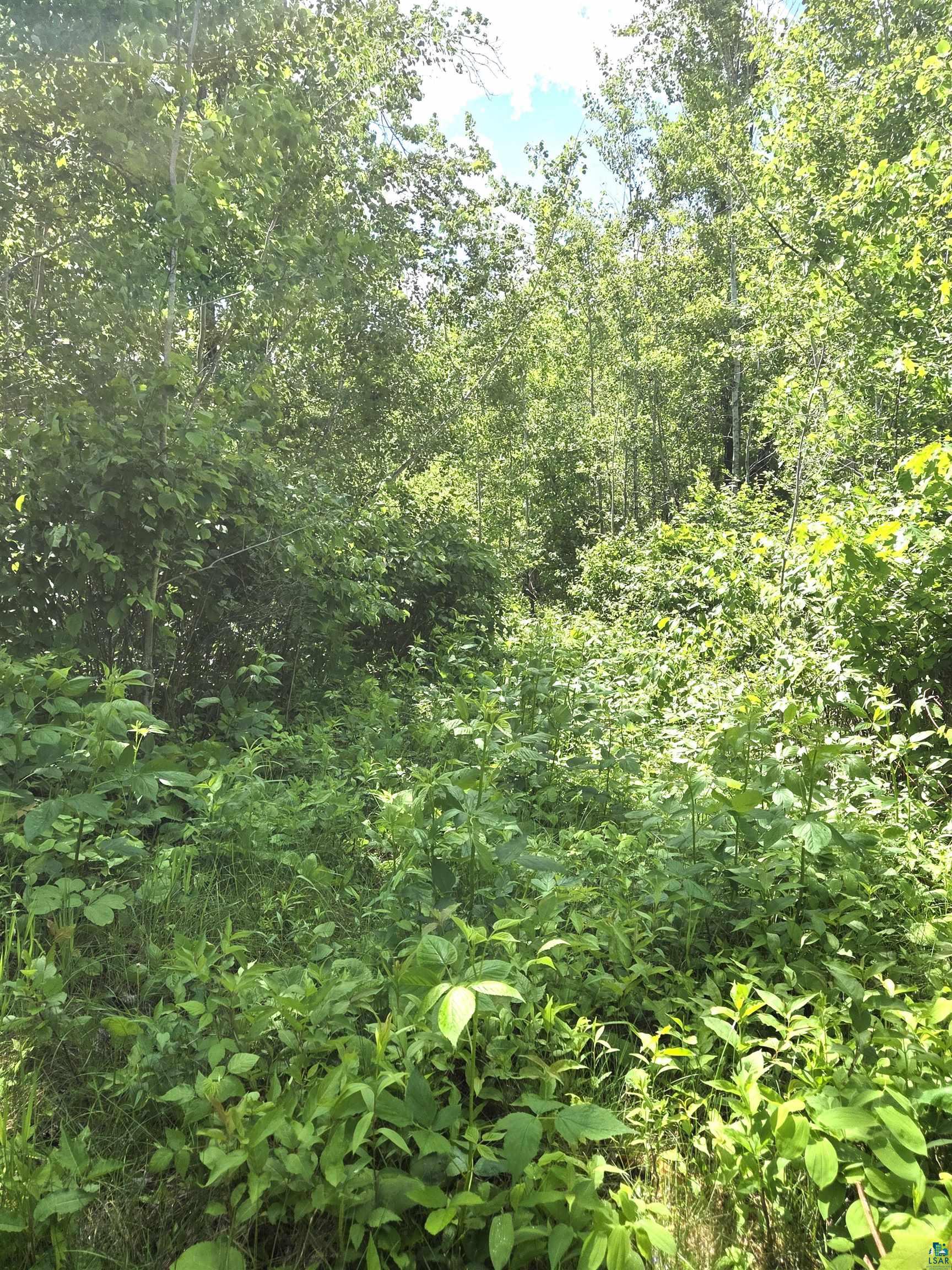 Xxx M T Nelson Road Mahtowa, MN 55707 - Photo 6 of 19