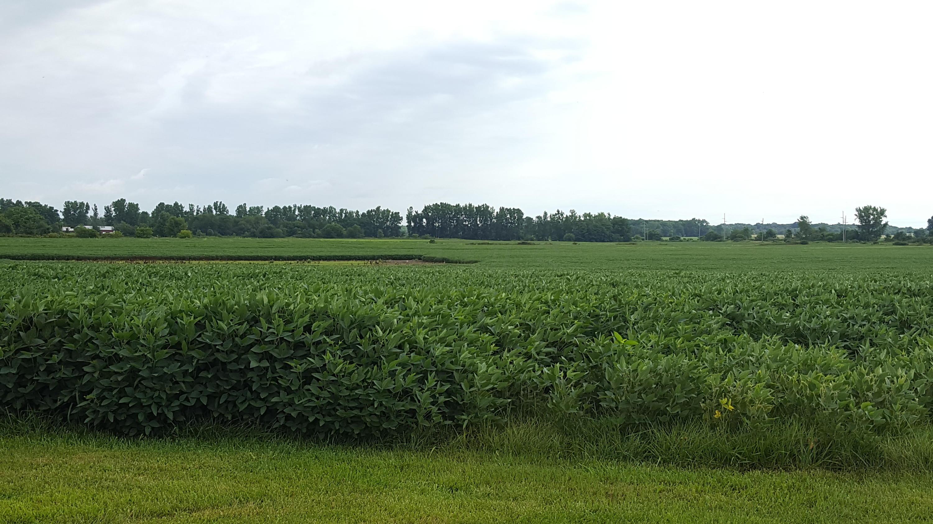 5997 County Road 9 Edison, OH 43320 - Photo 2 of 8