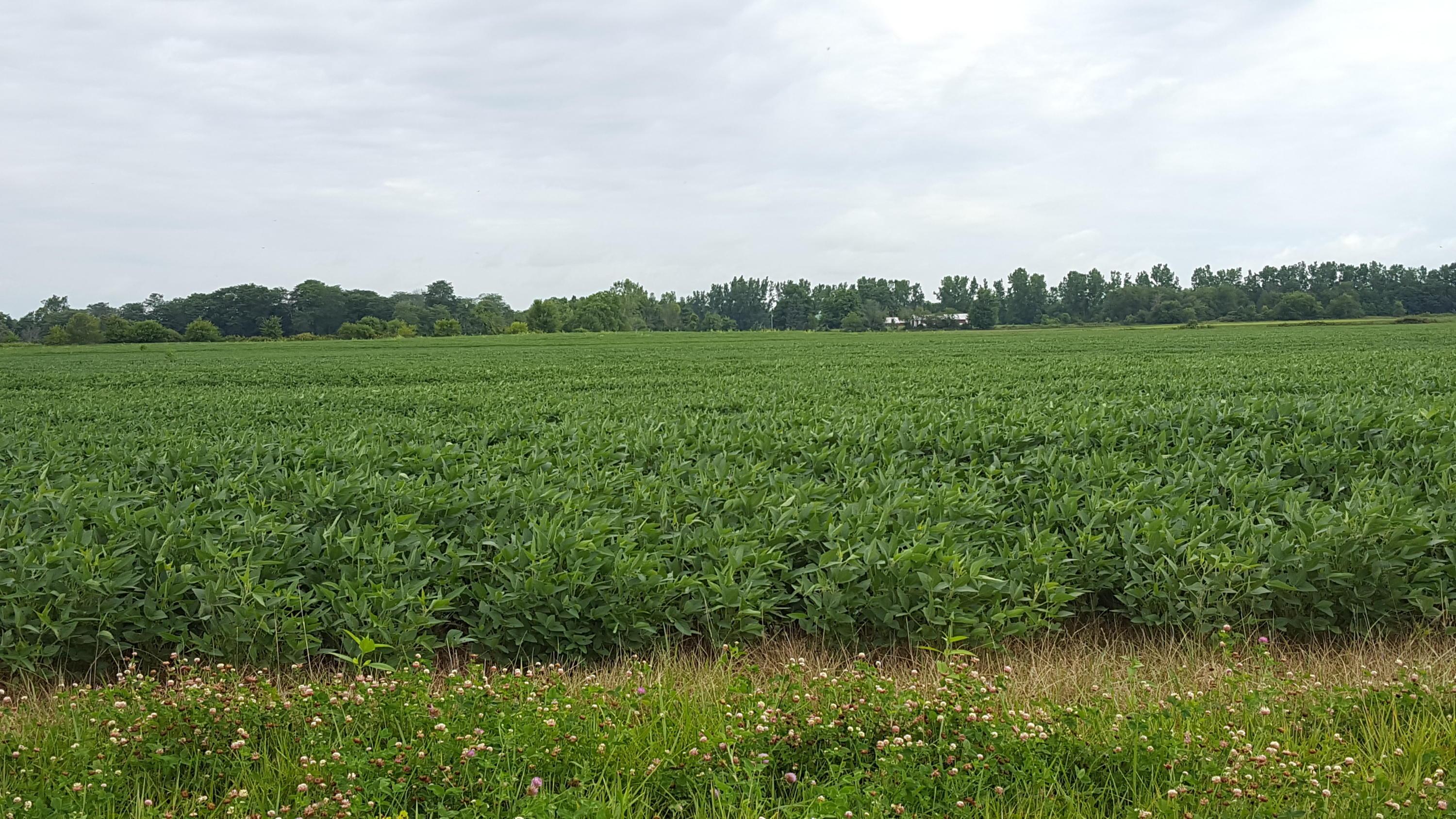 5997 County Road 9 Edison, OH 43320 - Photo 3 of 8