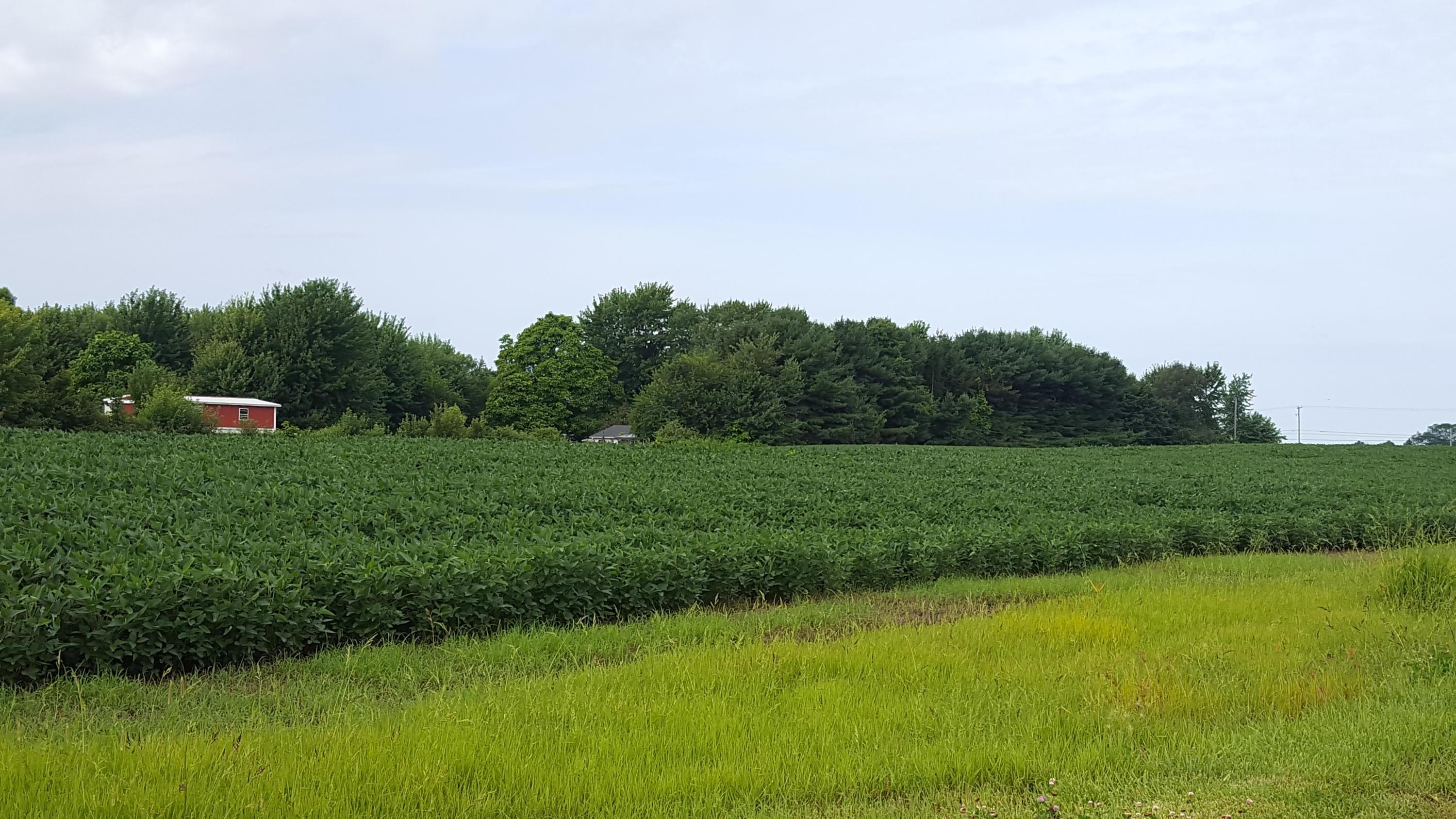 5997 County Road 9 Edison, OH 43320 - Photo 4 of 8