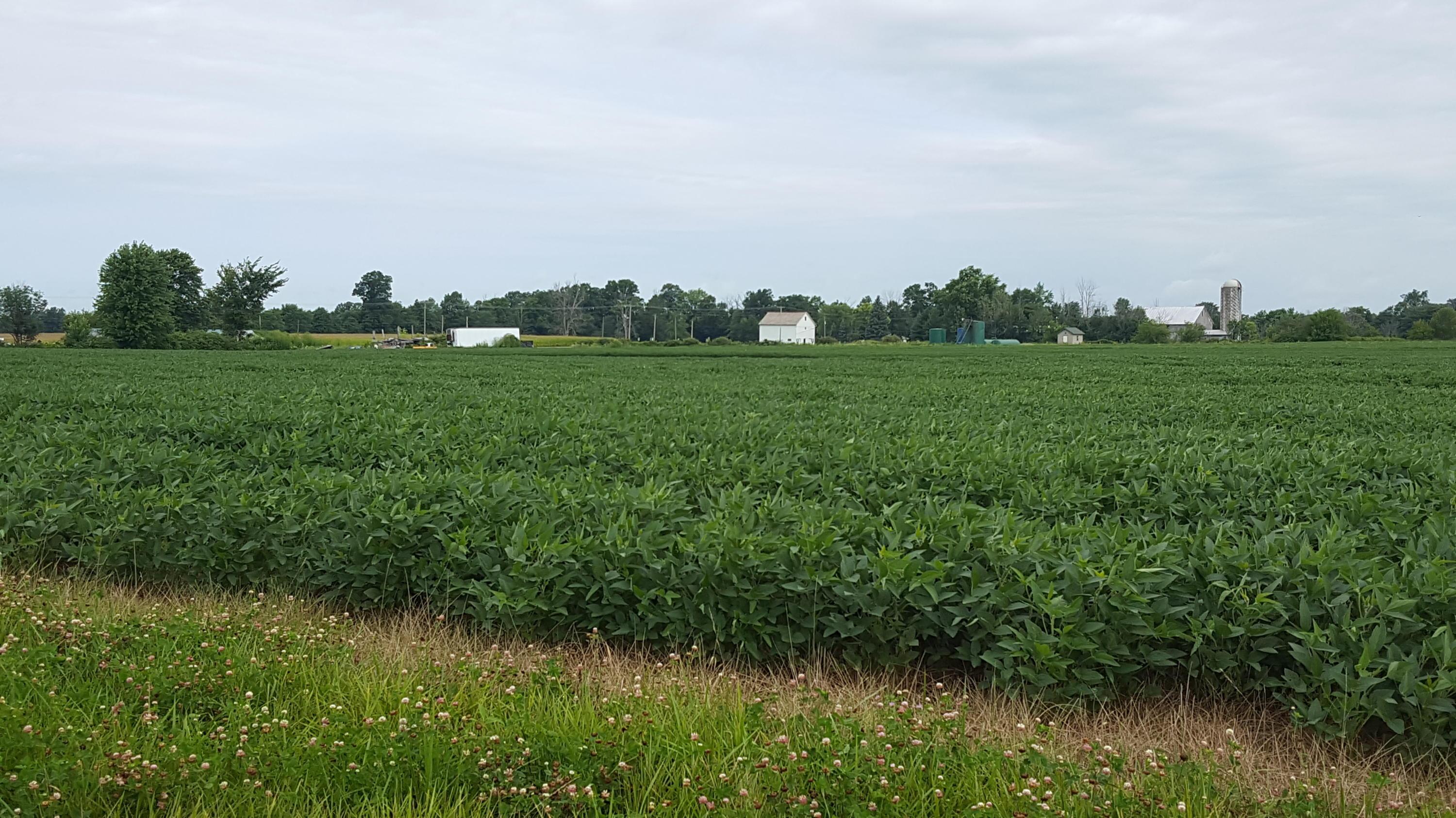 5997 County Road 9 Edison, OH 43320 - Photo 5 of 8